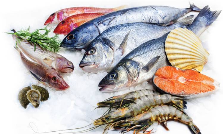 دراسة توصى بتناول الأسماك الدهنية خلال الثلث الأخير من الحمل | مبتدا